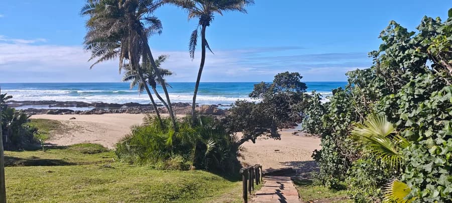 Palm-lined path down from the estate onto the beach