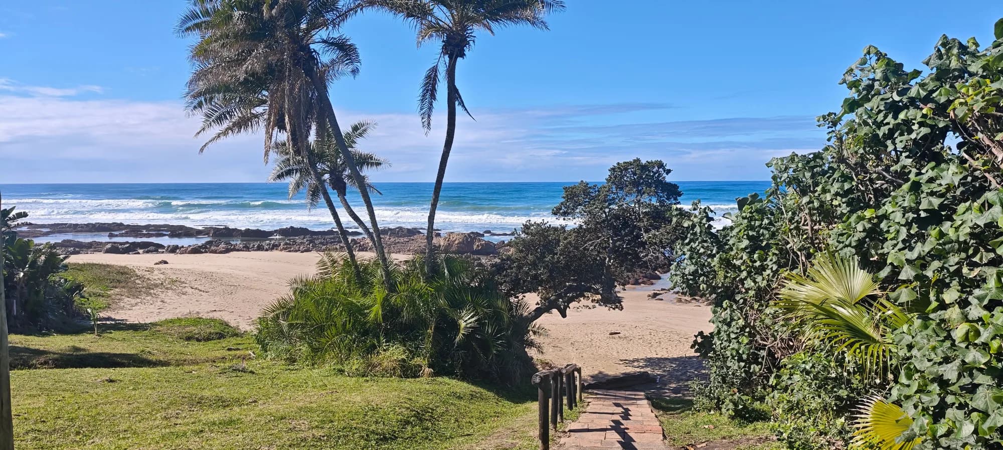 Palm-lined path down from GreenHart Estate onto the beach at Palm Beach