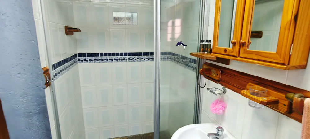 Shower room with a tiled shower and basin